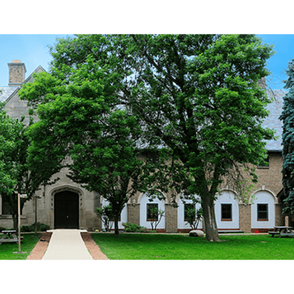 outdoor view of the Soref Education Wing courtyard