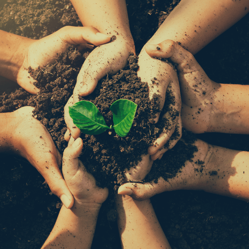 Hands gather soil around a small green plant seedling, symbolizing planting for the future.